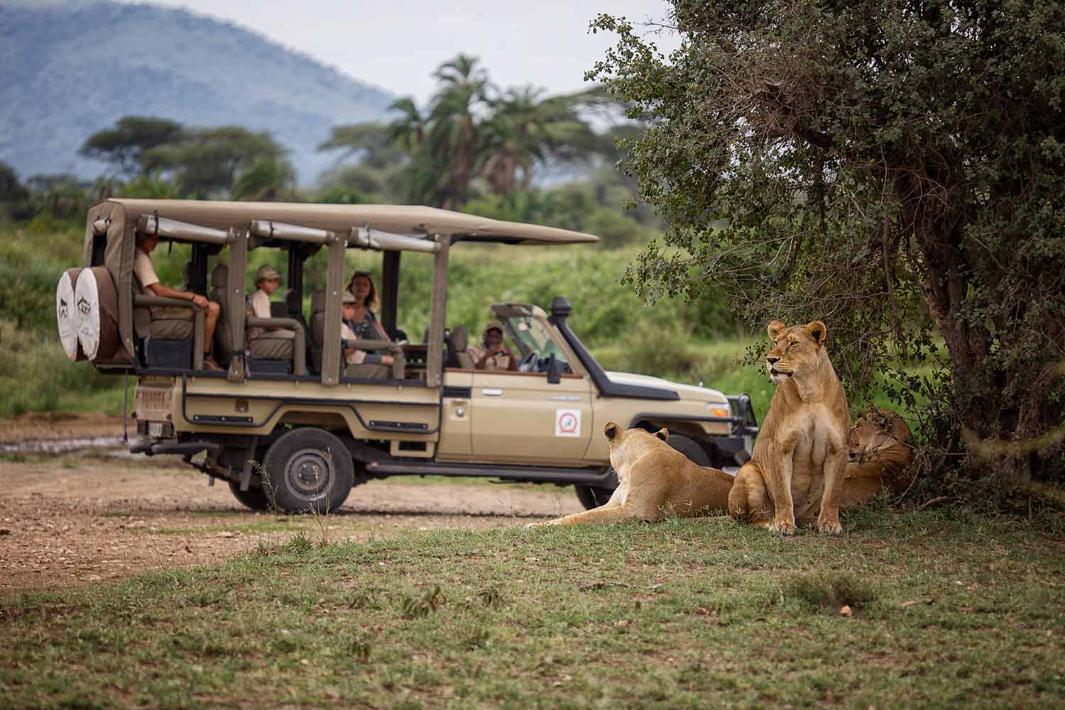 On Safari in Kenya or Tanzania